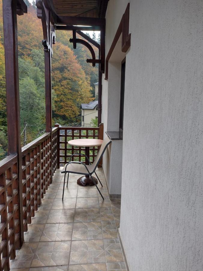 Pensiunea Steinhaus Slănic-Moldova Exterior foto