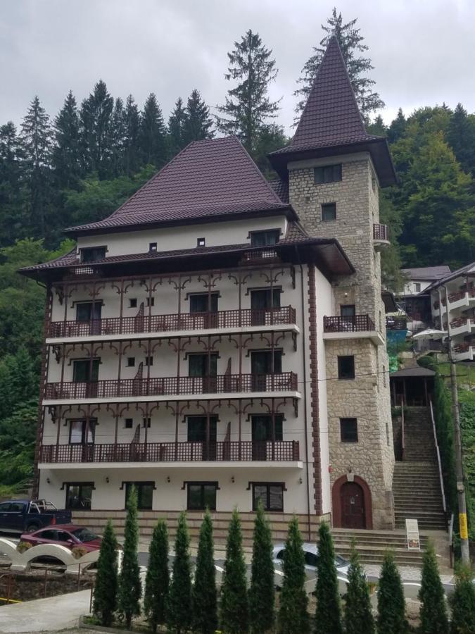 Pensiunea Steinhaus Slănic-Moldova Exterior foto